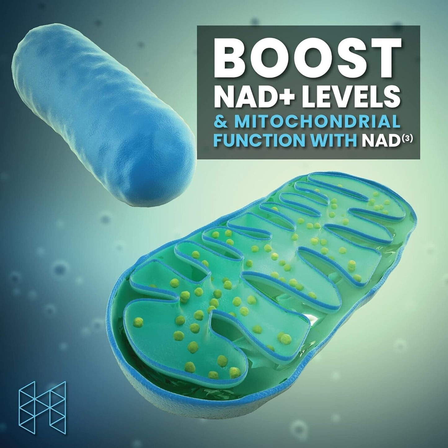 NAD+ Booster (NAD3), Proporciona Energía Natural, Longevidad Y Salud Celular